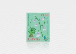 Latvijas Pasts in collaboration with the Latvian Fund for Nature dedicates a stamp to the rare and protected water lobelia