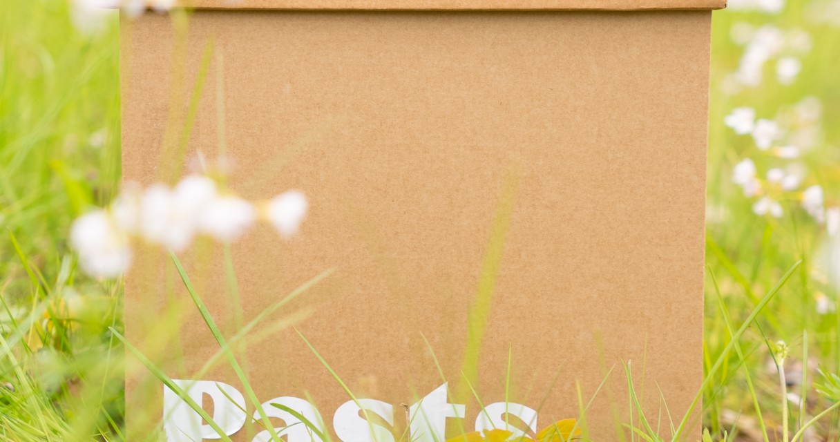 jaunaiszimols-45 Mainīsies pasta nodaļu darba laiki Raunā un Priekuļos