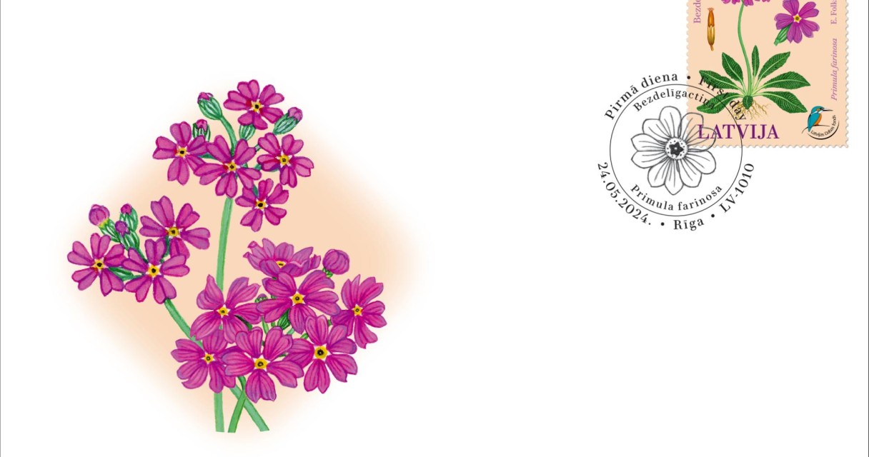 Apl_Bezdeligactina_2024 Velta pastmarku Latvijā aizsargājamam augam – bezdelīgactiņai