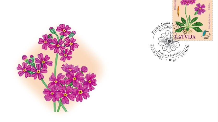 Apl_Bezdeligactina_2024 Velta pastmarku Latvijā aizsargājamam augam – bezdelīgactiņai