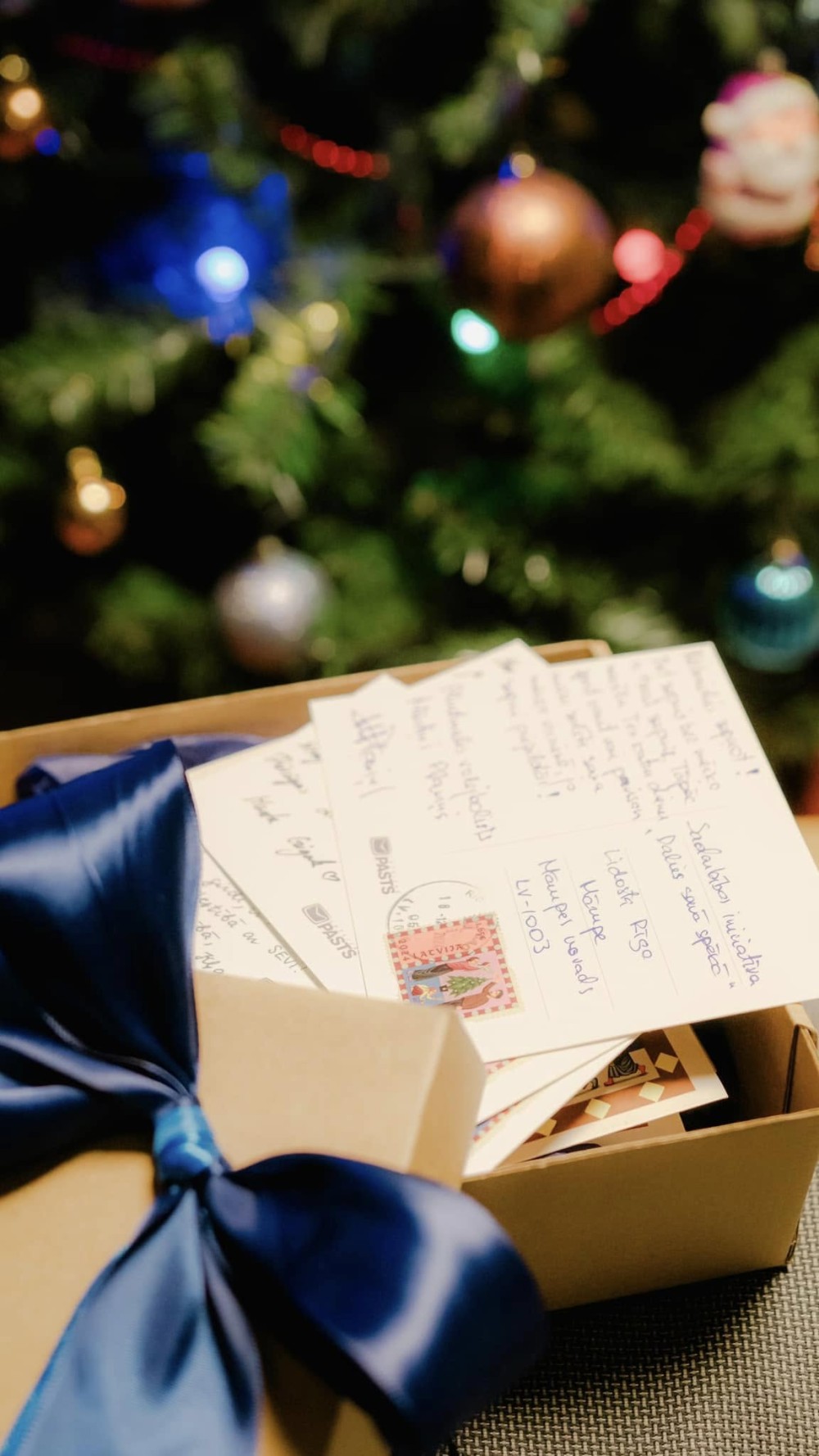 485151311_691784013416247_6696680491267050188_n