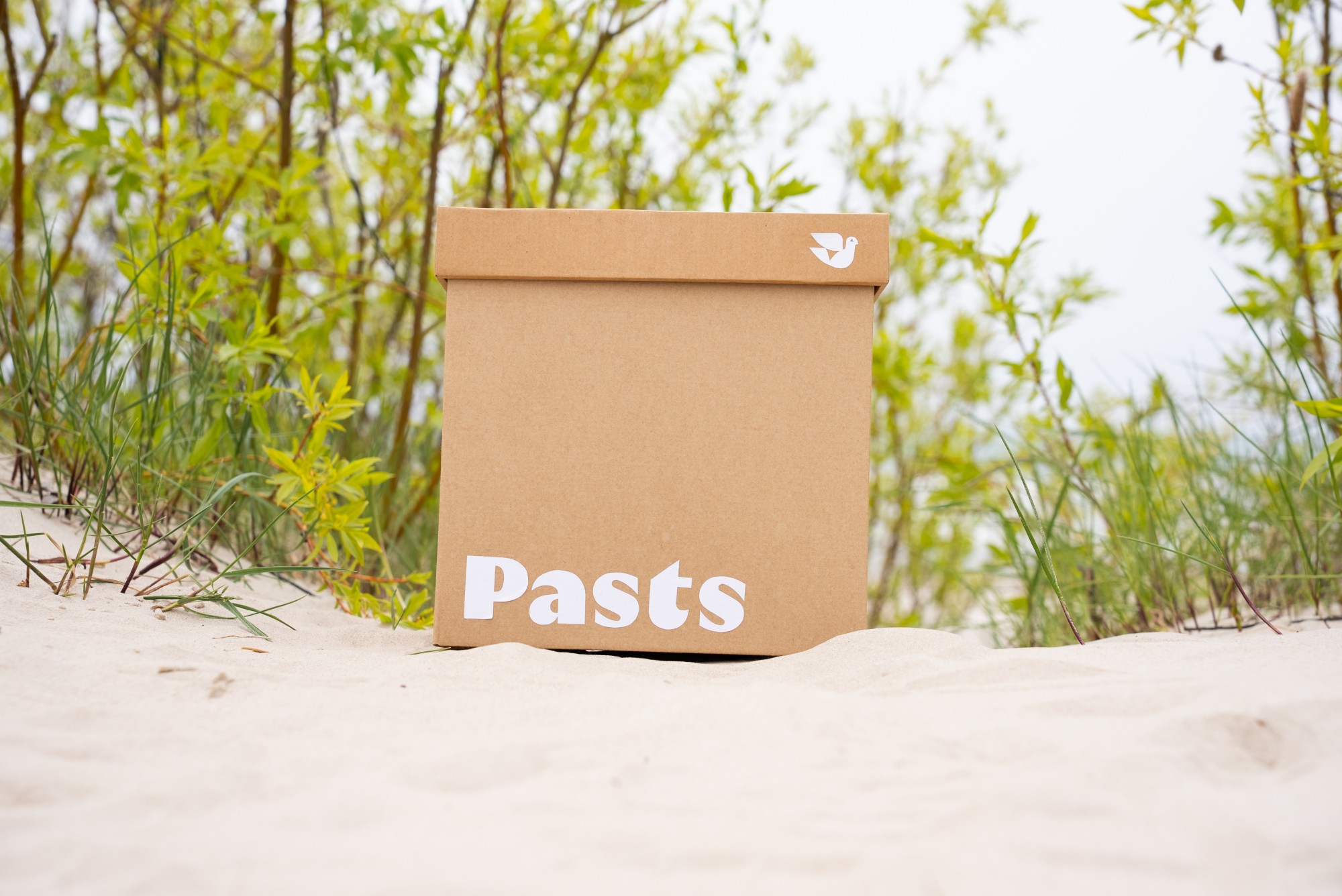 jaunaiszimols-41 Parcel on a beach