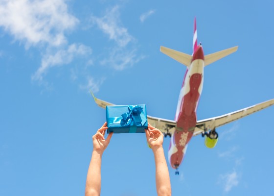 04.07.25-20 Paka un lidmasina