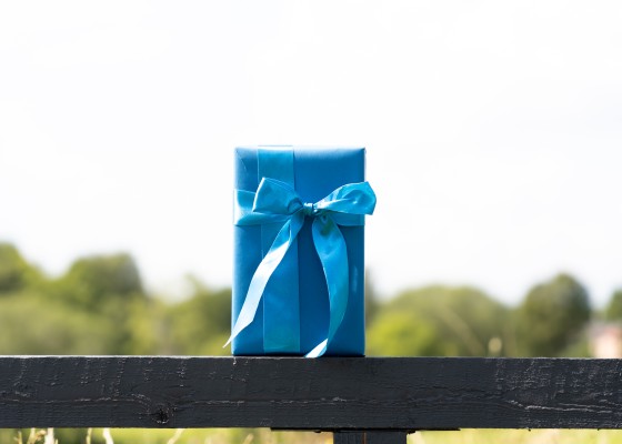 1707-7 Economy sūtījums